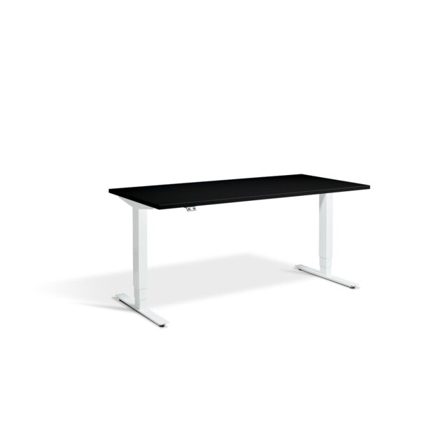 Trexler Metal Base Standing Desk