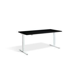 Trexler Metal Base Standing Desk
