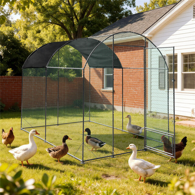 6m² Chicken Run