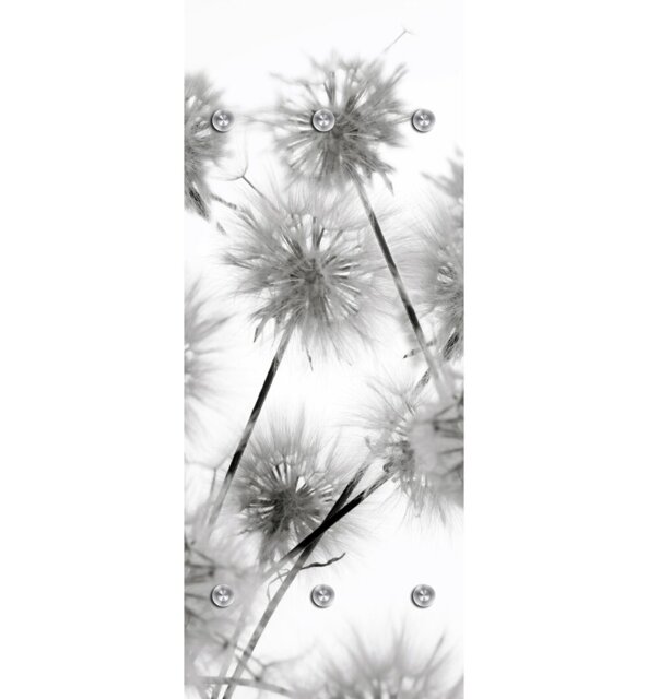 Pusteblume Plastic Wall 6 - Hook Wall Mounted Coat Rack