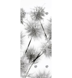 Pusteblume Plastic Wall 6 - Hook Wall Mounted Coat Rack