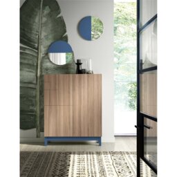 18 Pair Shoe Storage Cabinet