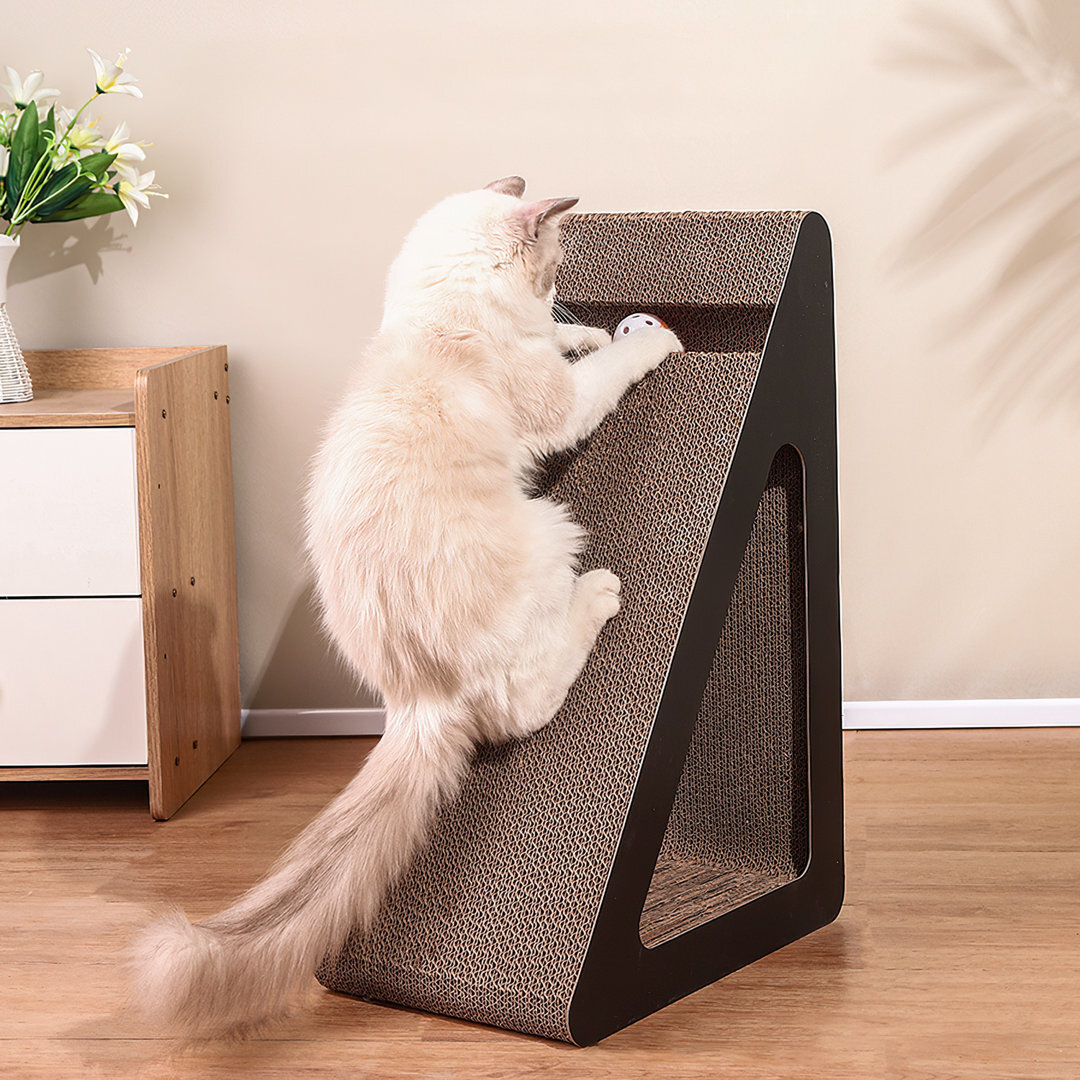 Cat Tree Wayfair Cat Teepee Wayfair Adult Cat Tree Arbre A Chat