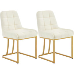 Aunna 49cm H Velvet Upholstered Metal Upholstered Back Cantilever Chair