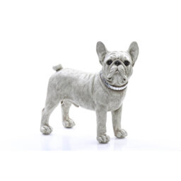 Addi Animals Bust