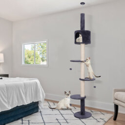 Floor To Ceiling Cat Tree, Cat Tower Climbing Scratching Post Condo, Cat Kitten Activity Center