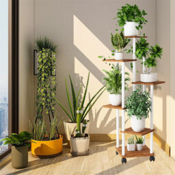 Plant Stand - Set of 6