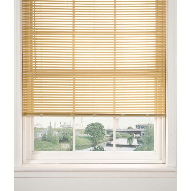 Blackout Mini Blinds