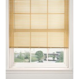 Blackout Mini Blinds