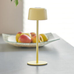 Aluminium Desk Lamp