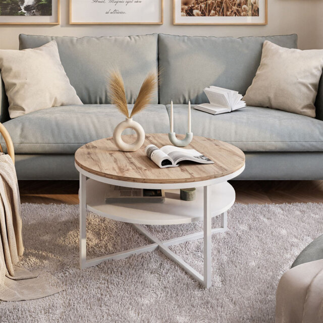 Lottye Frame Coffee Table