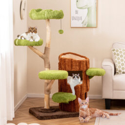 Reniah 55.51cm H Cat Tree