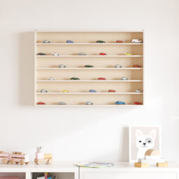 Wall Cabinet