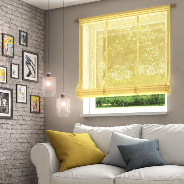 Byrnside Semi Sheer Roman Shade