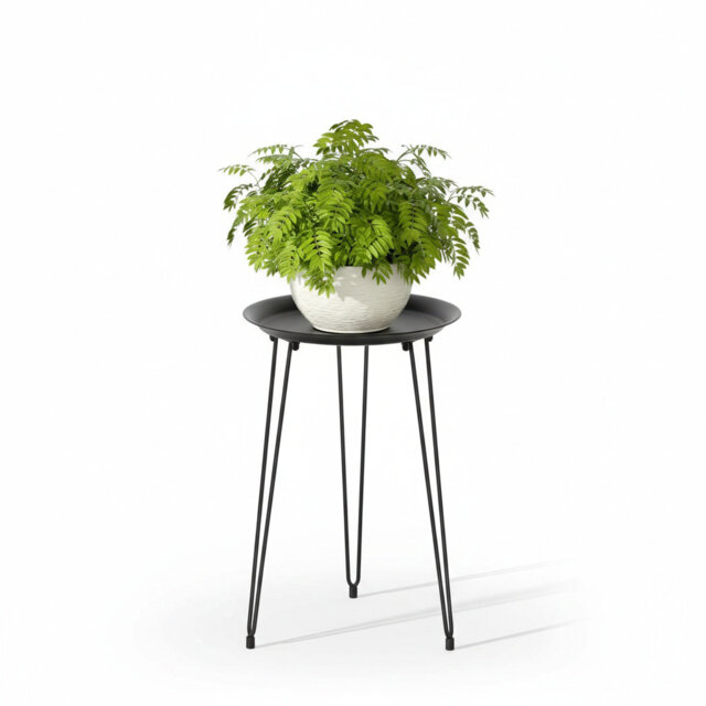 Modern Metal Round Plant Stand for Indoor Outdoor Decor