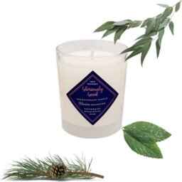 Revive Peppermint, Eucalyptus & Pine Scented Jar Candle