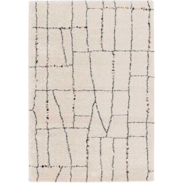 Adilen Moroccan Area Rug