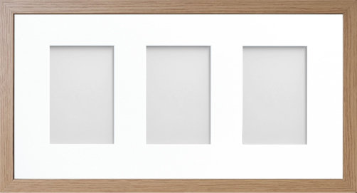Albarran Matte Picture Frame with Mat