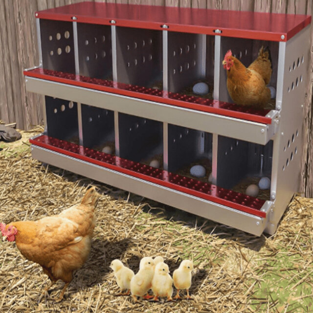 Chicken Coop with Nesting Box For Up To 10 Chickens