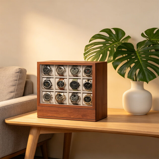 Watch Box +