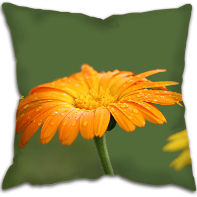 Hadrian Floral Square Cushion