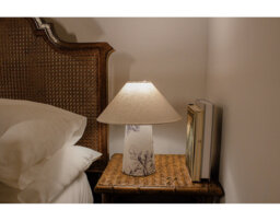 Novelty Lamp
