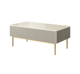 Anahla Four Leg Coffee Table with Storage