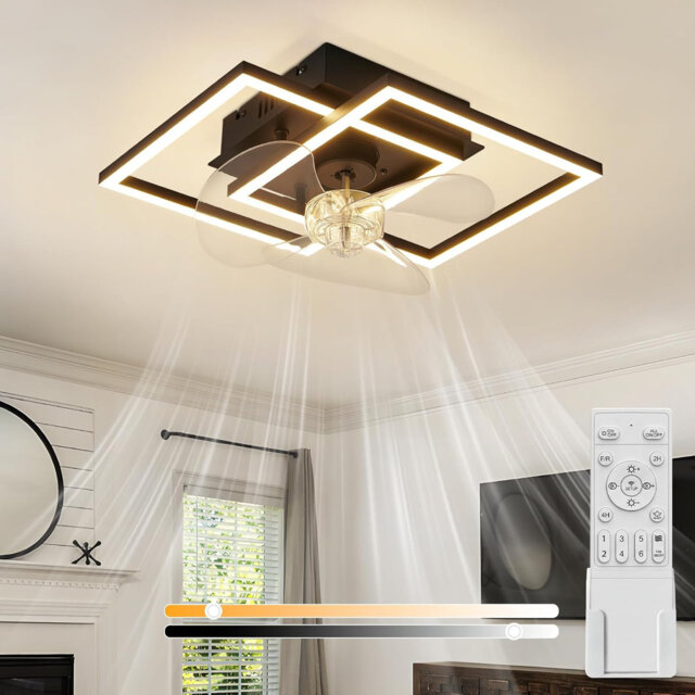 Quiet Ceiling Fan with Light - LED Ceiling Lamp with Fan and Remote Control, Black, 3000-6500K, Dimmable, Modern Ceiling Fans with Light, 6-Speed ??DC