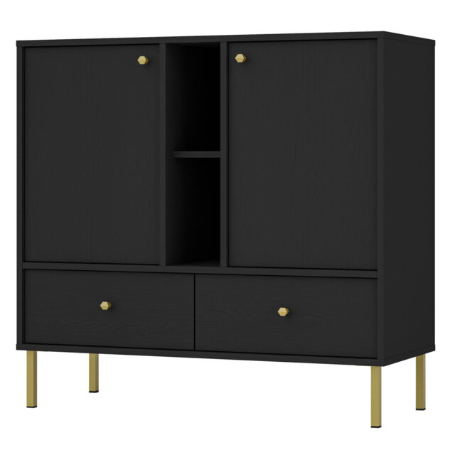 Albani Two-Door Sideboard with Two Drawers and Shelf, 100 cm, Black Graphite with Gold Legs