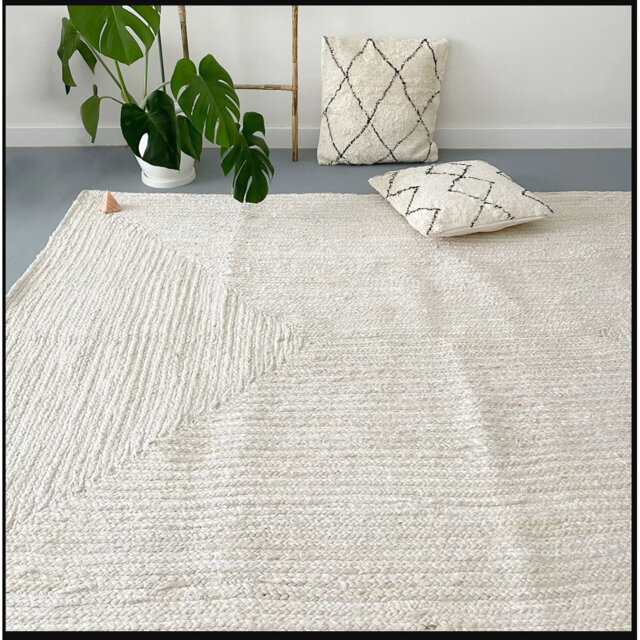 Janya Hand Braided White Indoor/Outdoor Rug