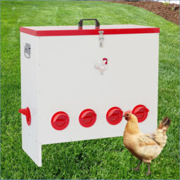 Automatic Chicken Feeder No Waste, Poultry Feeder Box Metal Feeders for Chickens Rainproof Chicken Coop Feed Ports for Chickens, Ducks, Turkeys