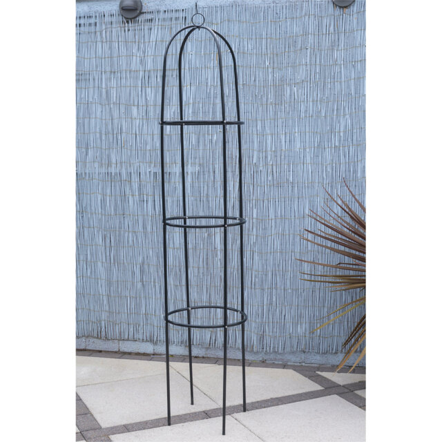 Cailynne 508cm H x 101.6cm W Metal Arched Trellis