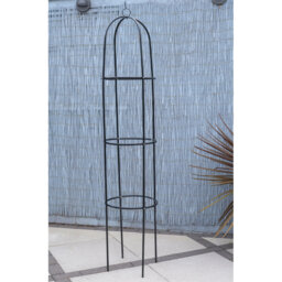 Garden Obelisk For Climbing Plants