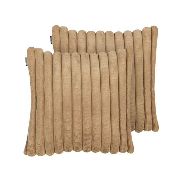 Set of 2 Cushions 45 x 45 cm RAKYA