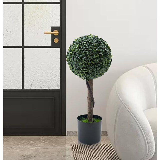61cm Milan Ball Plant