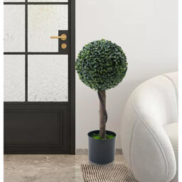 61cm Milan Ball Plant