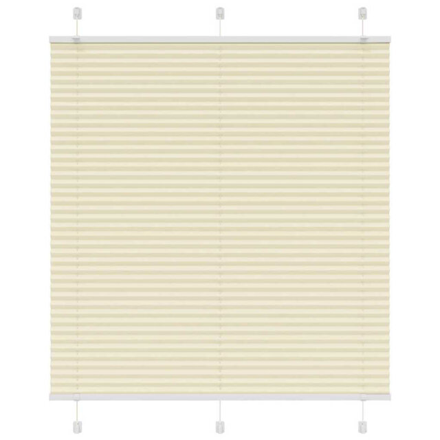 Room Darkening Pleated Shade