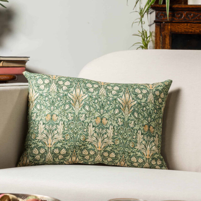 Cushion