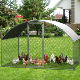 Chicken Run with Wire Mesh