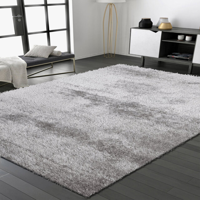 Ceianne Shag Indoor / Outdoor Area Rug