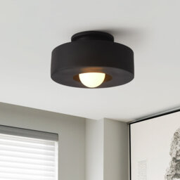 Blayke Minimalist Resin Flush Mount Close to Ceiling Lighting Fixture