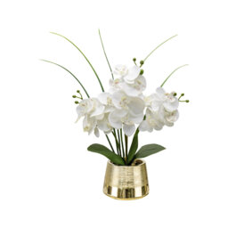 Arrangement
