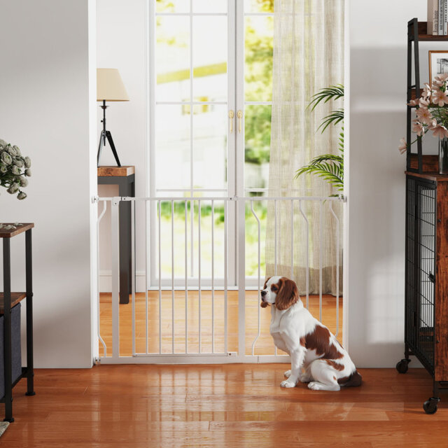 Wall Mounted Pet Gate