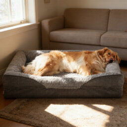 Pet Bed