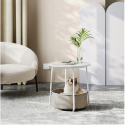 Lauranne Frame End Table
