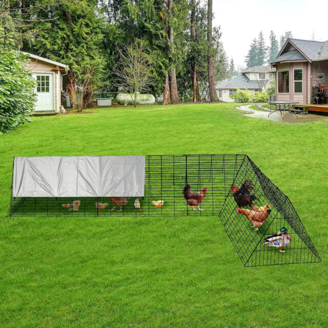 Chicken Run with Wire Mesh