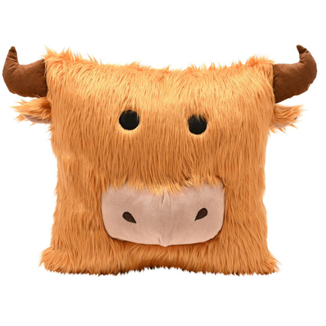Square Throw Cushion