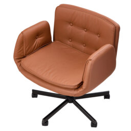 Office Chair with Adjustable Armrests and Wheels