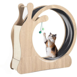 Scratching Post