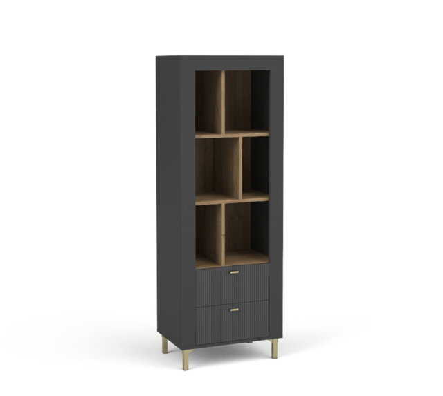 Ajeet 40cm H x 169cm W Library Bookcase Bookcase